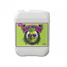 4L Big Bud by Advanced Nutrients